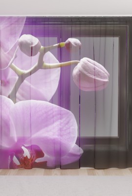 Фототюль из вуали Орхидея в сумраке