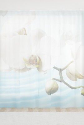 Фототюль из вуали Белая орхидея на голубой глади