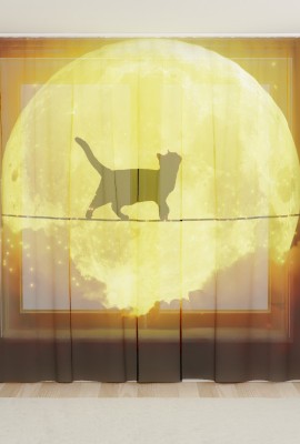 Фототюль из вуали Ночной котик