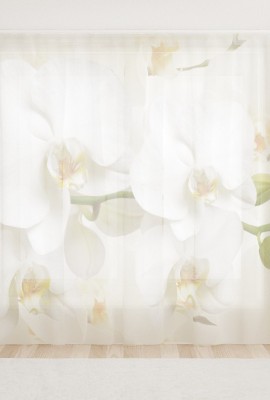 Фототюль из вуали Чистейшая орхидея