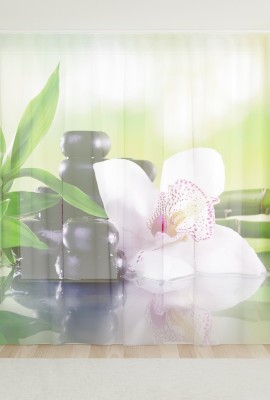Фототюль из вуали Белая орхидея на бамбуке
