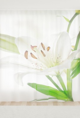 Фототюль из вуали Красивые белые лилии