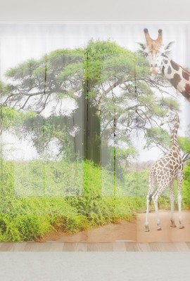 Фототюль из вуали Два жирафа