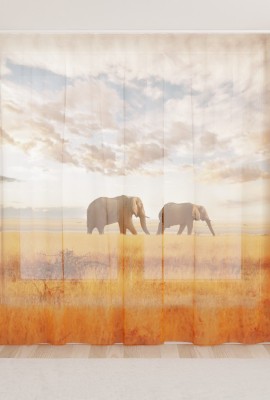 Фототюль из вуали Слоны на прогулке