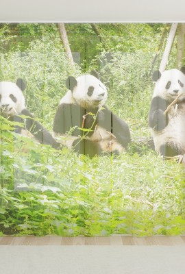 Фототюль из вуали Счастливые панды