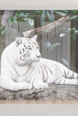 Фототюль из вуали Белый тигр