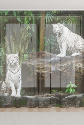 Фототюль из вуали Белые тигрята