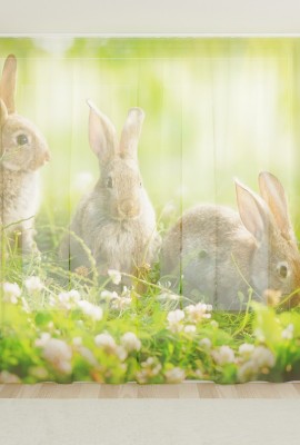 Фототюль из вуали Кролики на полянке