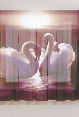 Фототюль из вуали Лебеди на закате