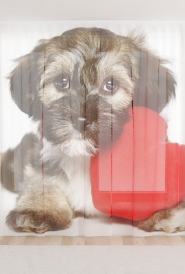 Фототюль из вуали Собака с сердцем