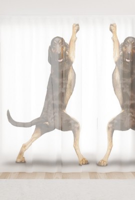 Фототюль из вуали Танцующие собаки
