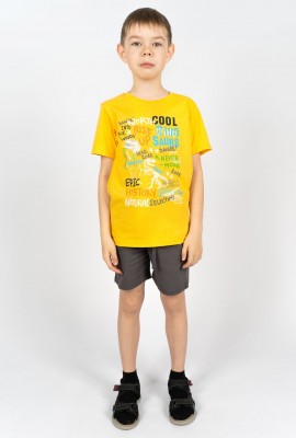 Комплект для мальчика 4292 (футболка + шорты) - желтый-т.серый
