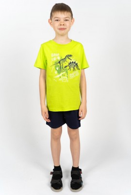 Комплект для мальчика 4291 (футболка + шорты) - салатовый-т.синий